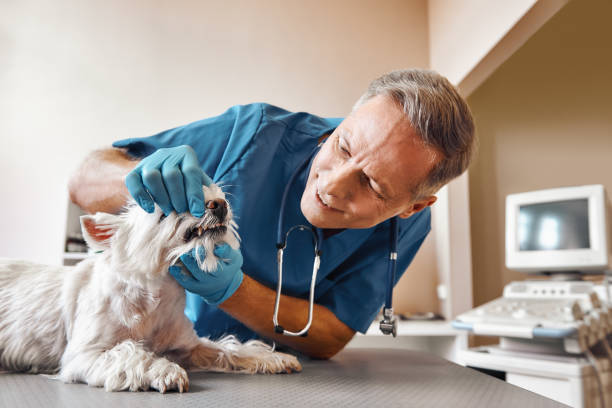 Best Same-Day Dentist Appointment  in Mooreland, OK